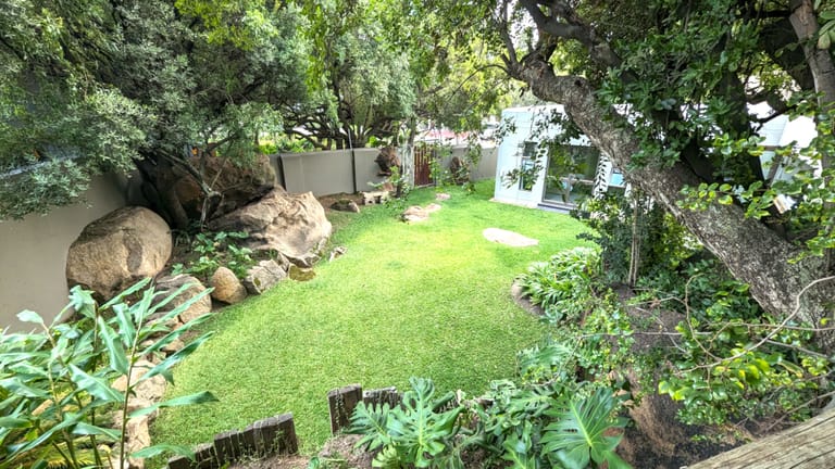 Rocks with lush greenery