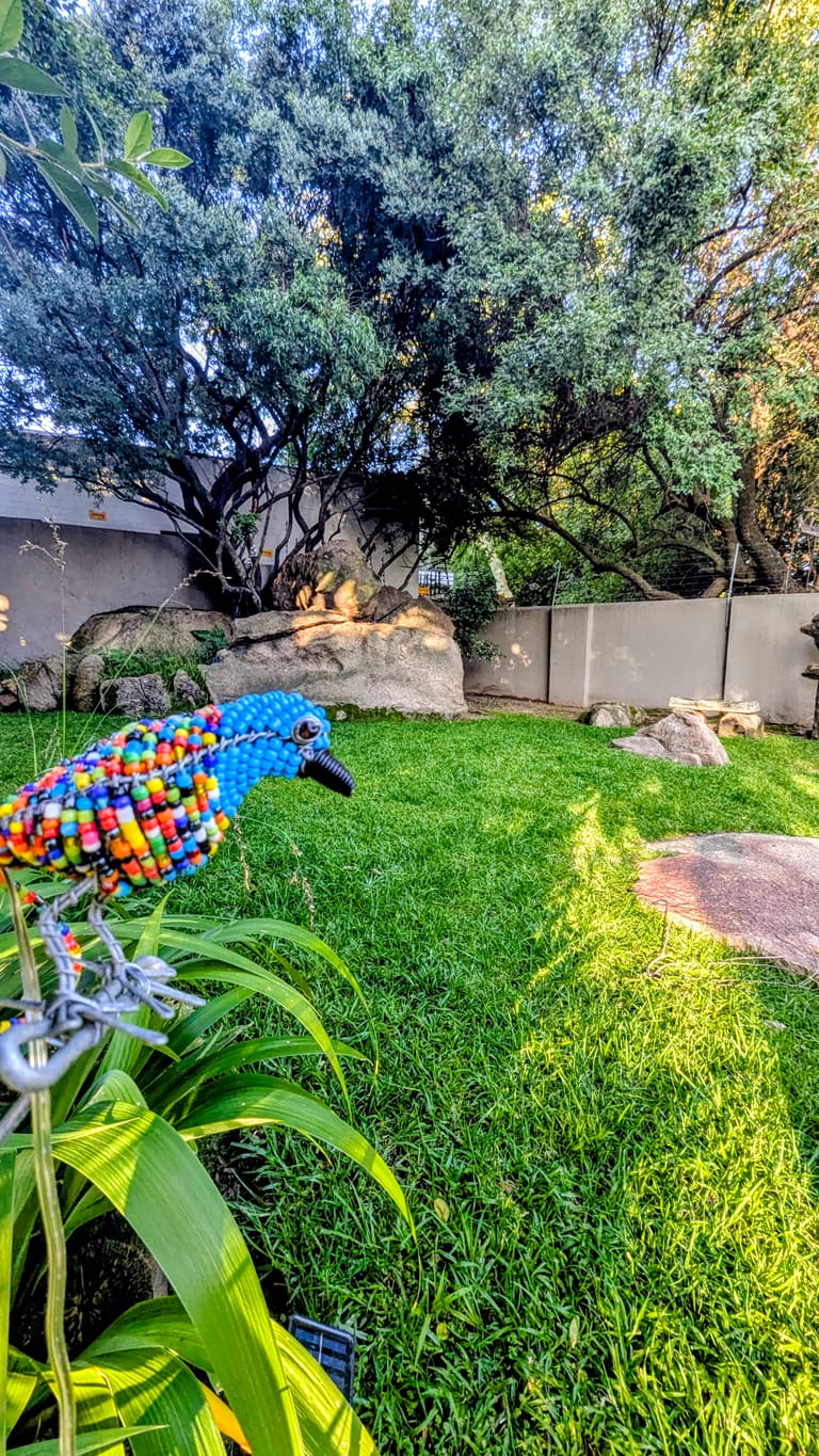 Garden patio with tropical plants