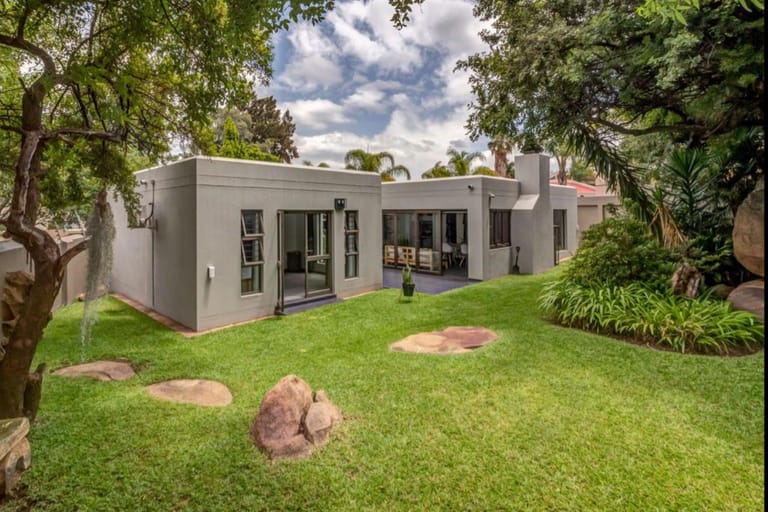 Dense tropical foliage